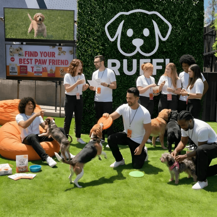 freepik_edit_different-poses-playing-with-other-dogs-and-talkin (1) (1)